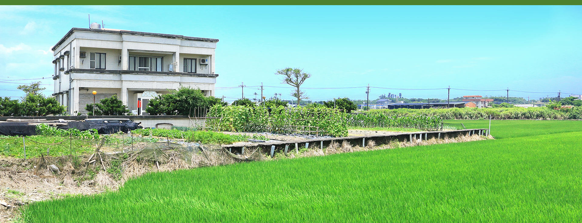 鄉下民宿